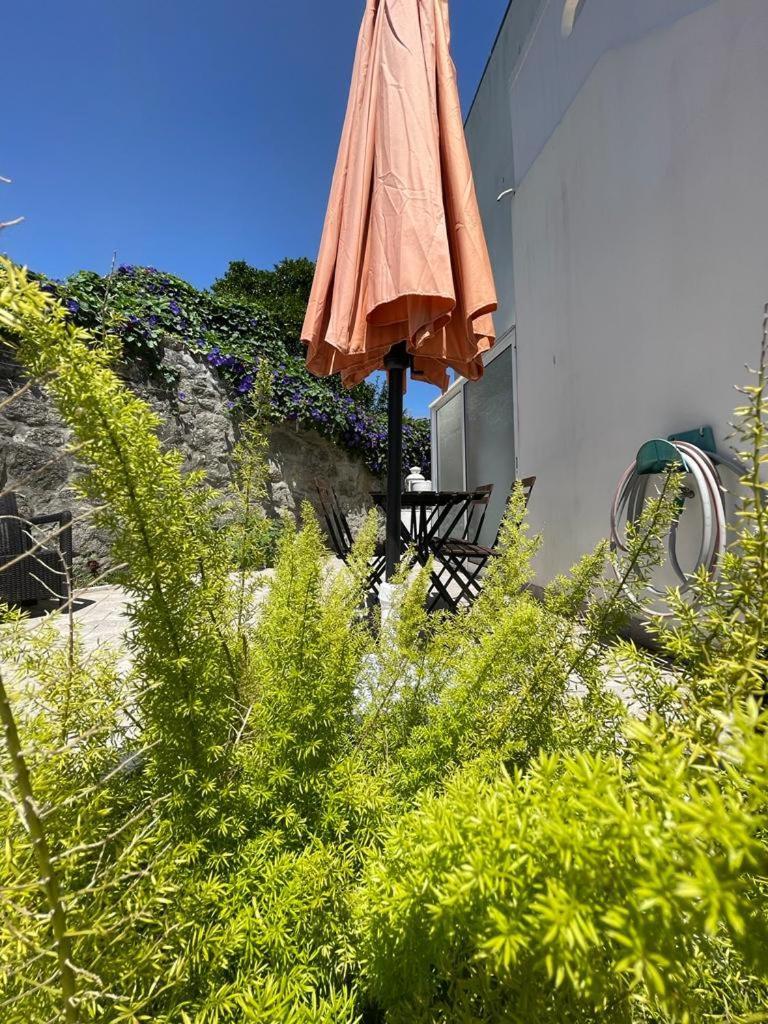 Burgaes II Apartment Apartment Porto